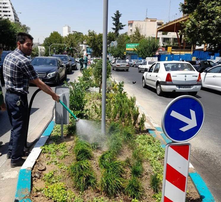 باغچه سنگی در رفیوژ میانی خیابان شهید باهنر اجرا شد