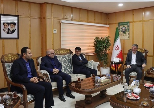 مدیر عامل بیمه ایران مطرح کرد: نقش کلیدی بیمه در تأمین امنیت و آرامش مردم